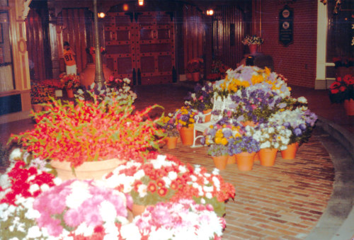 magic kingdom flowers, 1984