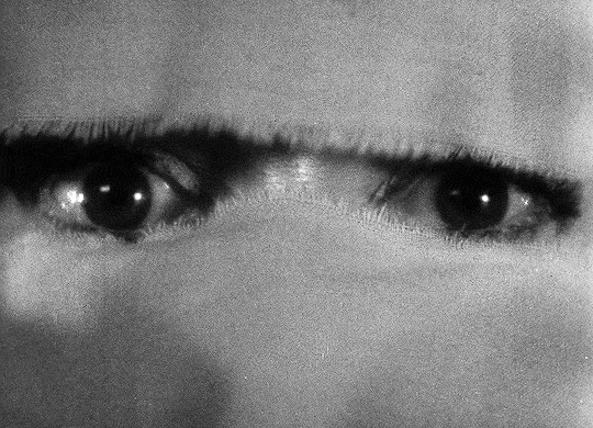 aclockworkfetish:  ohaladdins:   It’s a perfect night for mystery and horror. The air itself is filled with monsters.Bride of Frankenstein (1935) dir. James Whale  ⚙️