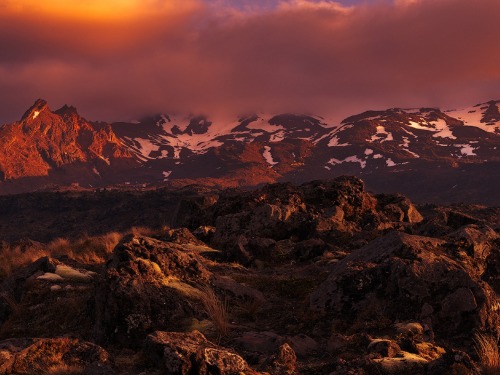 sublim-ature:  New ZealandAndre Distel