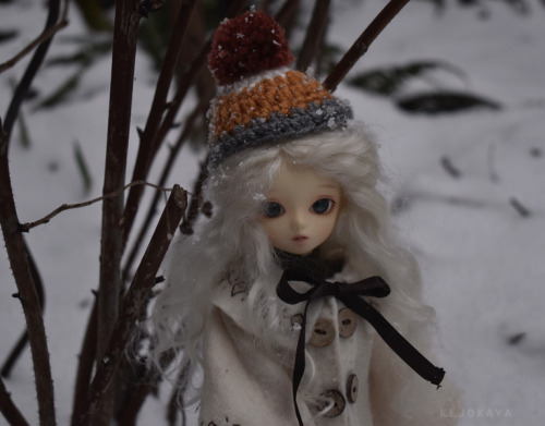 Snow DayI made this coat over the weekend because of snow prediction. I need to show my bjds some mo