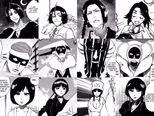 my-fanworks:Members of the Gotei throughout the years