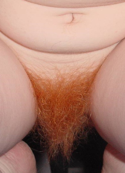 r2d21961:  hairy-teeners:  19yo pure redhead Summer selfies  GREAT very hairy red bush!!! 