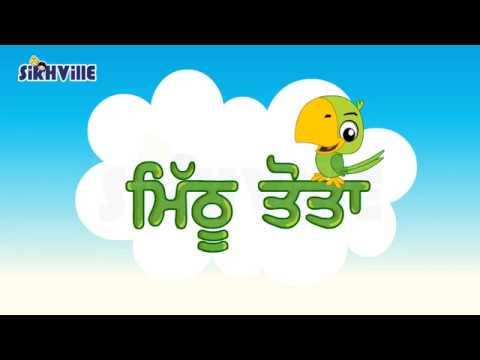 Sikh Ville — Mithu Tota - A Cute Parrot who lived a Lavish Life...