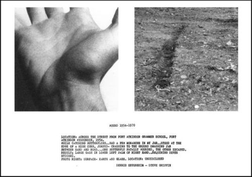 Wounds - Dennis Oppenheim