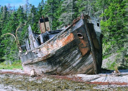 abandonedandurbex:   Shipwreck on Anticosti Island[1512x1080] Source: http://i.imgur.com/7TEieZJ.jpg 