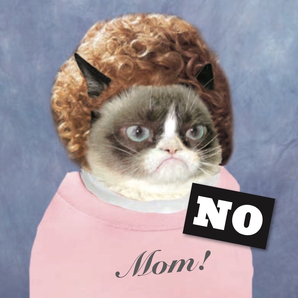 A terrible gift for all the Moms... The first tease from Grumpy Cat's upcoming chroniclebooks release: No-It-All