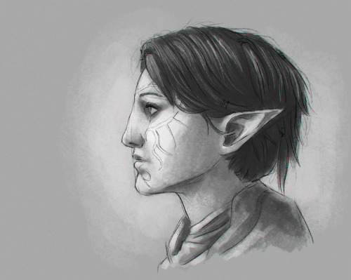 atarial:i guess you could call these character studies?love those elf noses :3