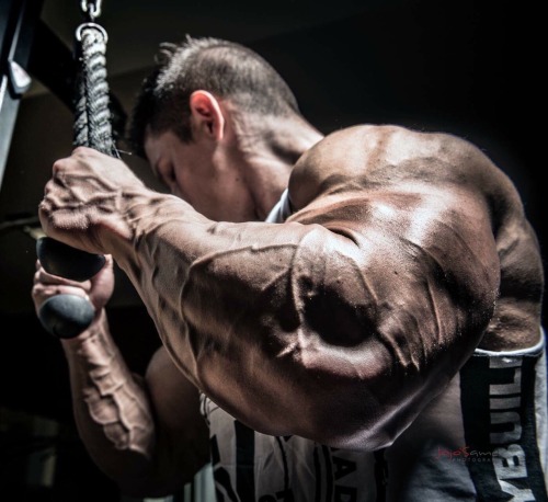 hyper-masculine:    ► HYPER-MASCULINE ♂ ◄ [page]♂ ♂♦ Hyper-Masculine ARCHIVE ♦ [all pics]    