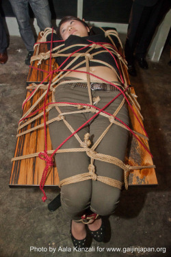 shibarihowto:  Kinbaku night - bondage -