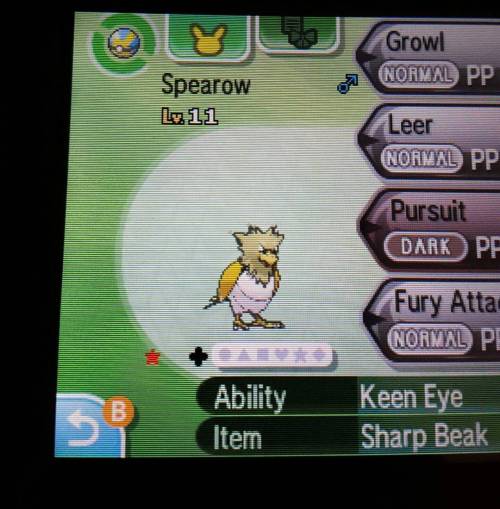 Caught my first shiny in #pokemonmoon a few hours ago. Kinda sucks&hellip; #pokemon #spearow