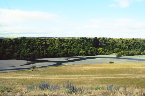 The river at Mangatahi