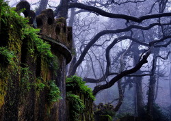 bonitavista:  Sintra, Portugal photo via