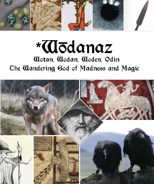 childofthewanderer:*Wōdanaz [Wotan, Wodan, Woden, Odin] ↳The Wandering God of Madness and Magic
