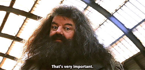 my-flourish-and-blotts:  “Platform 9 and ¾″?There’s no such thing, is there?