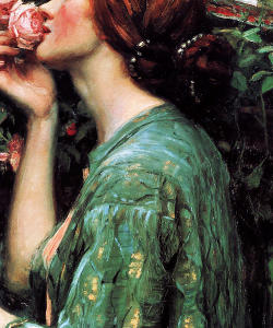 marcuscrassus:  John William Waterhouse - The Soul of the Rose     ♥ One of my favorites 