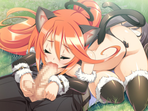 Sexy catgirls and stuff