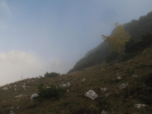 Končno nad meglo / Finally above fog by Damijan P. on Flickr.