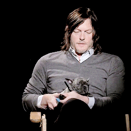reedus-place:  reedusgif:  Norman Reedus with Puppy interview  I want to be that
