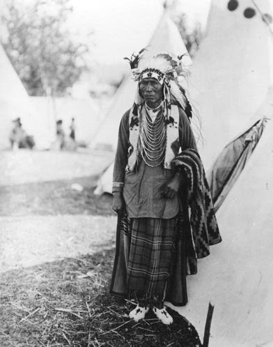 jeannepompadour:Portrait of She Came Spotted (seated) an unidentified Native American Sioux woman, p