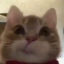 babyqueenduck