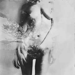 fragrantblossoms:  Ph.Mira Nedyalkova 