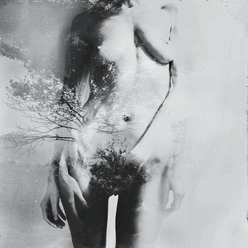 Sex fragrantblossoms:Ph.Mira Nedyalkova pictures