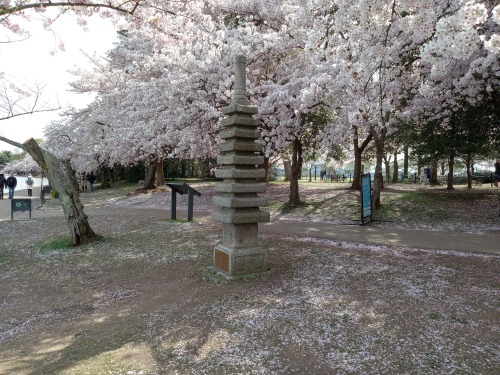 Spring Has Sprung.