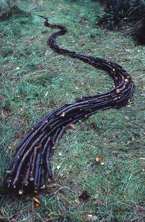 Andy Goldsworthy (British, b. 1956, Cheshire, England, based Scotland) - Earth Arts