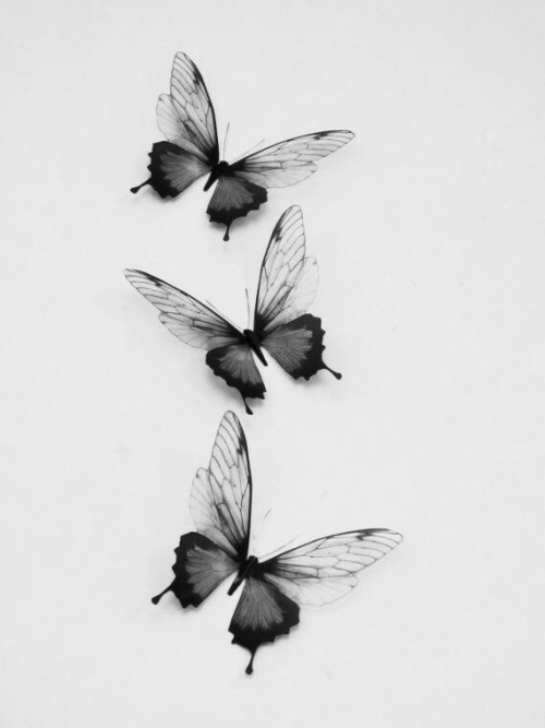 meehr:Metamorphosis…