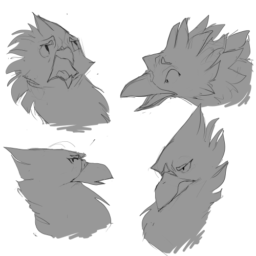 Hey Guys Look At All These Gryphs I Drew