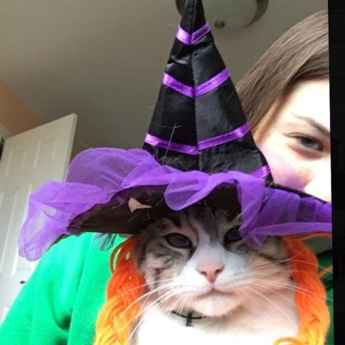 feathersandpaintbrushes: My little sister’s cat Luna disapproves of her witch costume.