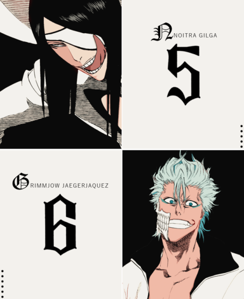 rukiadriedhisrain:Bleach↴Los Espadas 