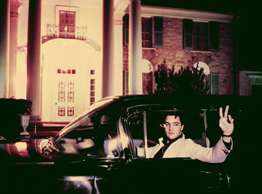 normasjeanes:  Elvis Presley at Graceland 