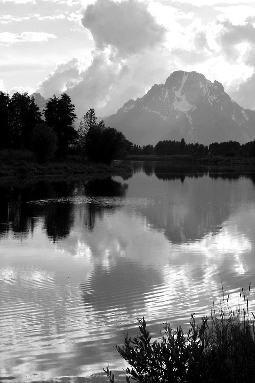 The nature
