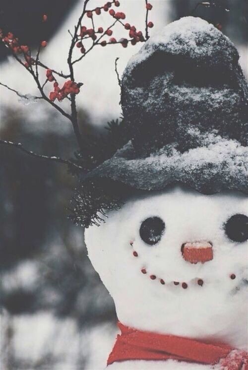 hairstylesbeauty:  Xmas is coming :)