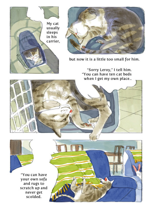 happyhealthyhopeful:  lalage:  cat comic  why did this make me cry?