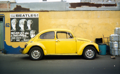Yellow Beetle [Xochimilco, Mexico, 2014]