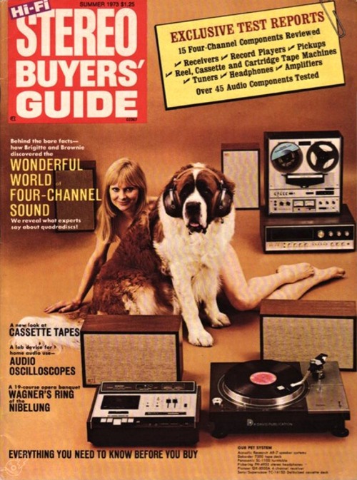 Porn Pics vinylespassion:  Stereo Buyers’ Guide,