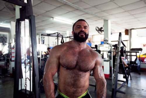 Bearded and hairy