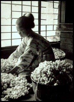 iseo58:  Mayu (silk cocoons) c 1915-23, Japan. S) 