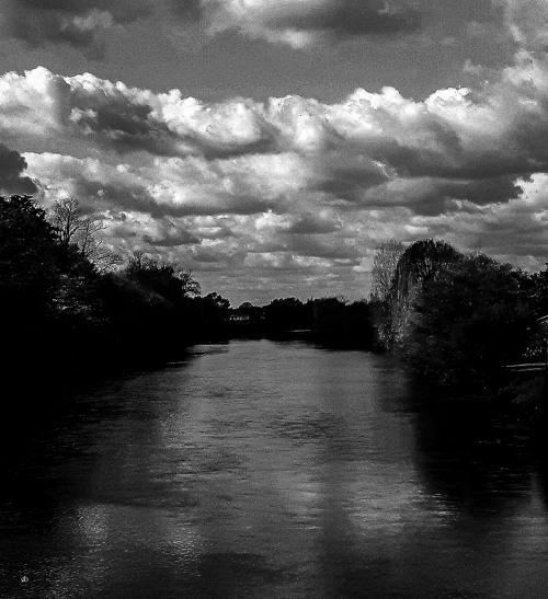 elsa-bertrand:© Elsa BertrandAu fil de l’Adour , Landes