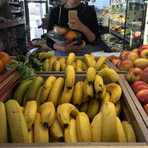 mild-bloom:  Where I spend 97% of my time. I’ve developed a sturdy bond with the old folk who own the store. I’m slowly but surely making my way to the top, one purchase and conversation at a time. One day I will take over the organic fruit and vegetable