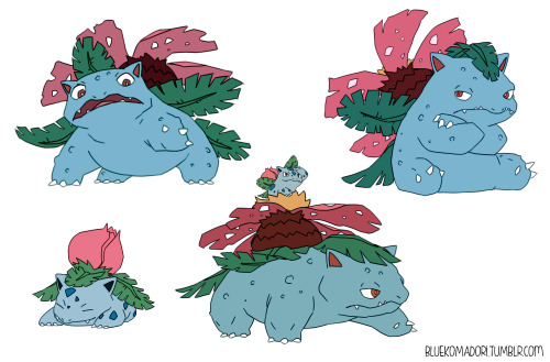 bluekomadori:A commission of Bulbasaur & its evolutions for Carlos Araujo. Thank you!! :)