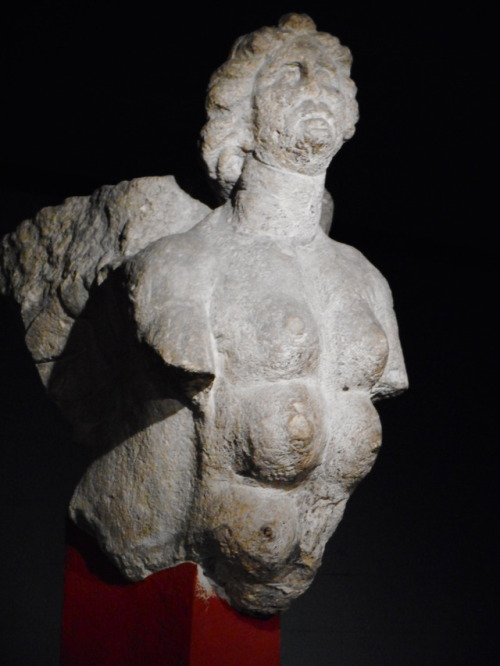 dwellerinthelibrary: An alert sphinx, set to guard Roman tombs. At the Römisch-Germanisches Mus