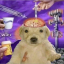 rott3nfool