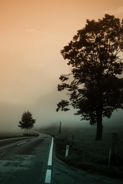 plasmatics-life:  Morning Beauty | By TiBKaPhotoDiary