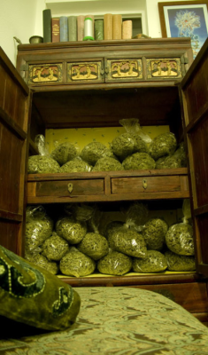 shesmokesbong:  blackjeepbandit:  sincity212:  Stash…  holy shit thats alot of pot  It pains me that its not in glass jars staying so fresh and dank - unless its just for making oil then its w/e 