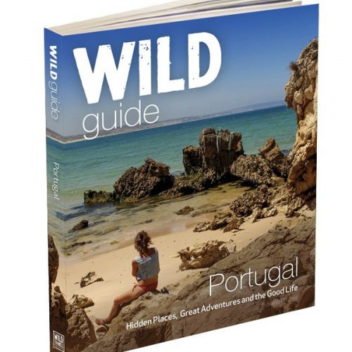 Wild Skinny-dipping in Portugal