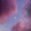the-moonlightsystem