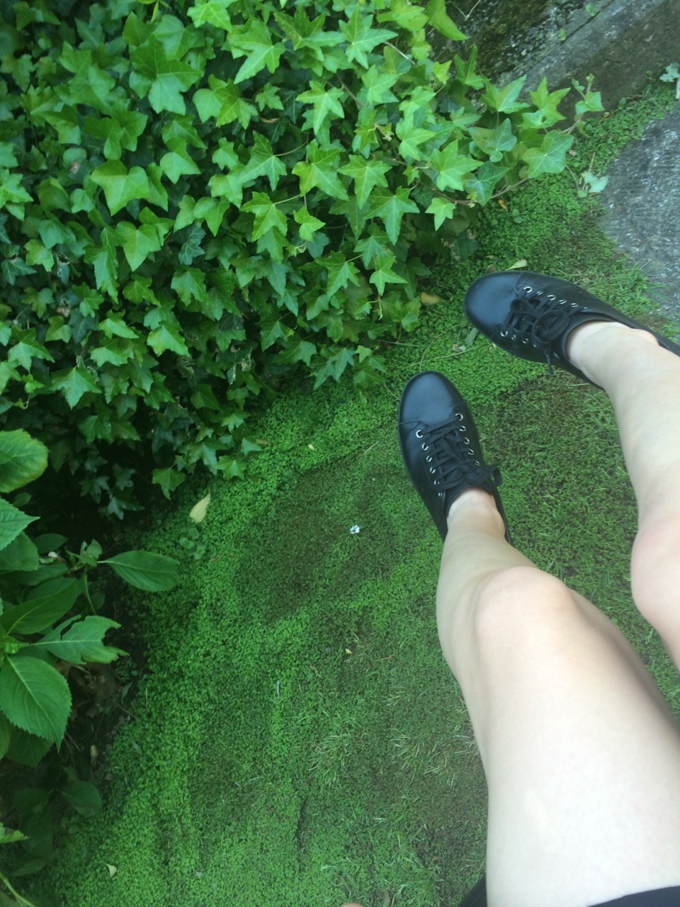 occire:  The plants and the shoes are killer 